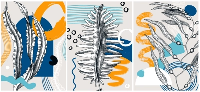 Collage-style seaweeds vector illustration. Sketched underwater plants banner set. Trendy design with botanical elements and geometric shapes. Elegant algae for sketch poster, card, and wall art.